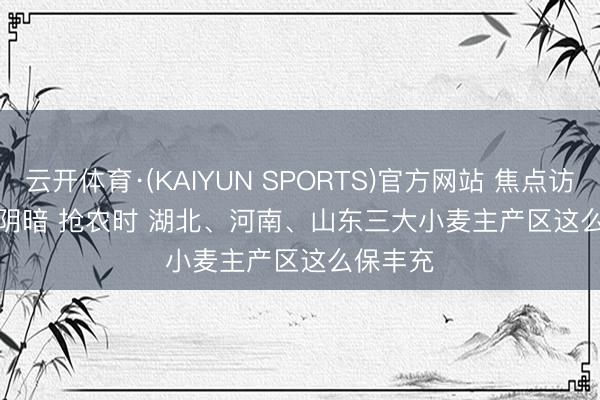 云开体育·(KAIYUN SPORTS)官方网站 焦点访谈｜战阴暗 抢农时 湖北、河南、山东三大小麦主产区这么保丰充