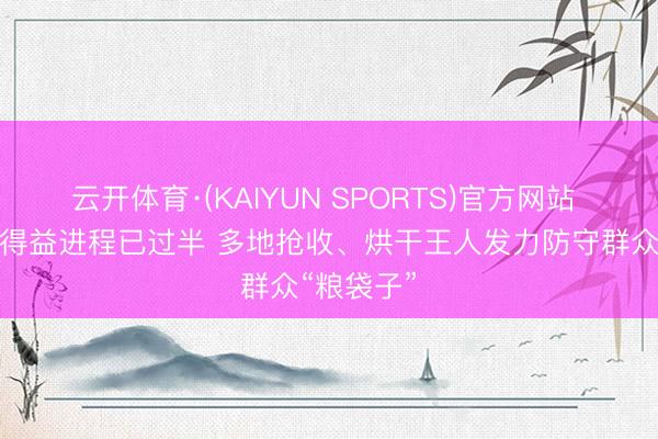 云开体育·(KAIYUN SPORTS)官方网站 世界小麦得益进程已过半 多地抢收、烘干王人发力防守群众“粮袋子”