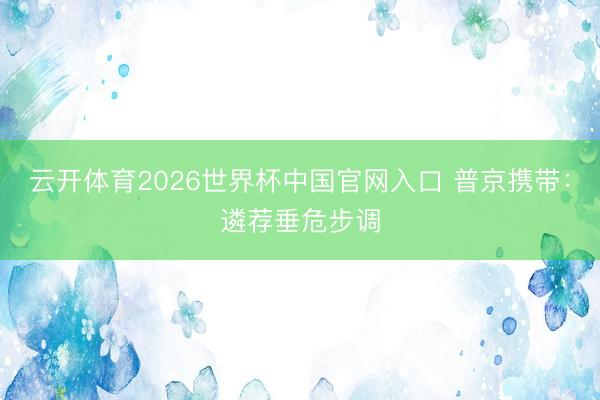 云开体育2026世界杯中国官网入口 普京携带：遴荐垂危步调